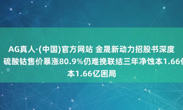 AG真人·(中国)官方网站 金晟新动力招股书深度解读:硫酸钴售价暴涨80.9%仍难挽联结三年净蚀本1.66亿困局