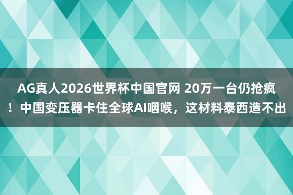 AG真人2026世界杯中国官网 20万一台仍抢疯!中国变压器卡住全球AI咽喉,这材料泰西造不出