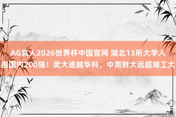AG真人2026世界杯中国官网 湖北13所大学入围国内200强!武大逾越华科,中南财大远超湖工大