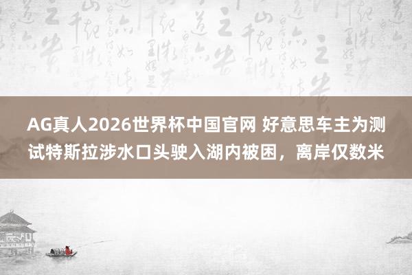 AG真人2026世界杯中国官网 好意思车主为测试特斯拉涉水口头驶入湖内被困,离岸仅数米