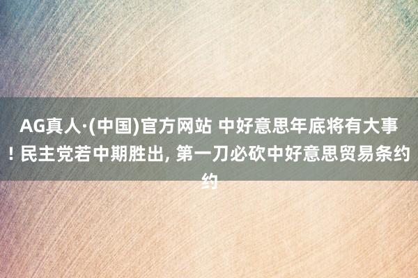 AG真人·(中国)官方网站 中好意思年底将有大事! 民主党若中期胜出, 第一刀必砍中好意思贸易条约