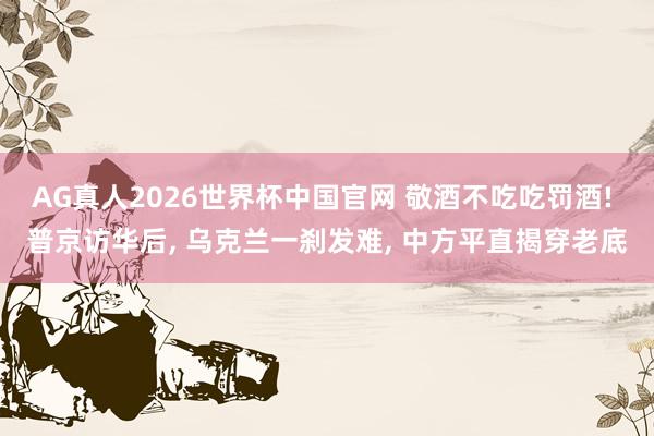 AG真人2026世界杯中国官网 敬酒不吃吃罚酒! 普京访华后, 乌克兰一刹发难, 中方平直揭穿老底
