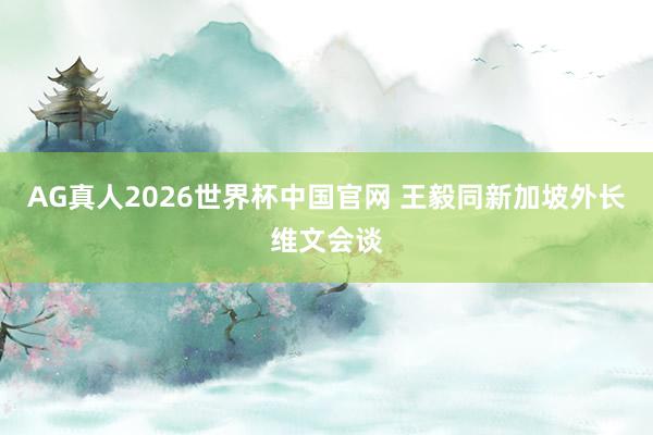 AG真人2026世界杯中国官网 王毅同新加坡外长维文会谈