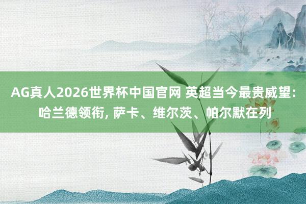 AG真人2026世界杯中国官网 英超当今最贵威望: 哈兰德领衔, 萨卡、维尔茨、帕尔默在列