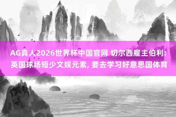 AG真人2026世界杯中国官网 切尔西雇主伯利: 英国球场短少文娱元素, 要去学习好意思国体育