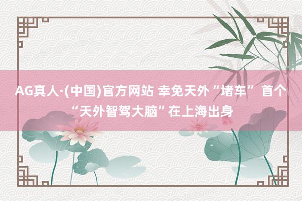 AG真人·(中国)官方网站 幸免天外“堵车” 首个“天外智驾大脑”在上海出身