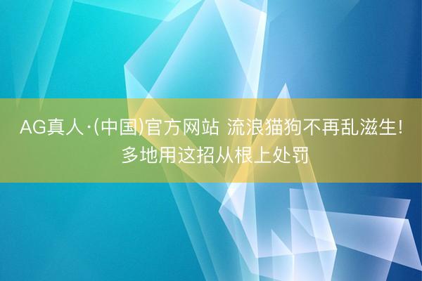 AG真人·(中国)官方网站 流浪猫狗不再乱滋生! 多地用这招从根上处罚