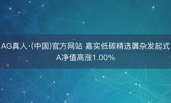 AG真人·(中国)官方网站 嘉实低碳精选羼杂发起式A净值高涨1.00%