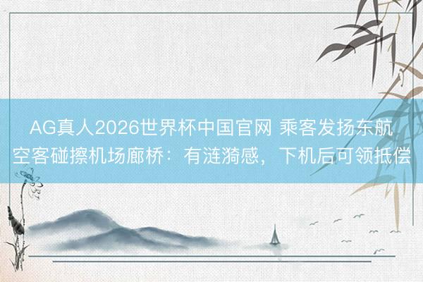 AG真人2026世界杯中国官网 乘客发扬东航空客碰擦机场廊桥:有涟漪感,下机后可领抵偿