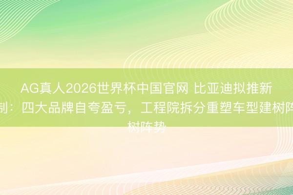 AG真人2026世界杯中国官网 比亚迪拟推新机制:四大品牌自夸盈亏,工程院拆分重塑车型建树阵势